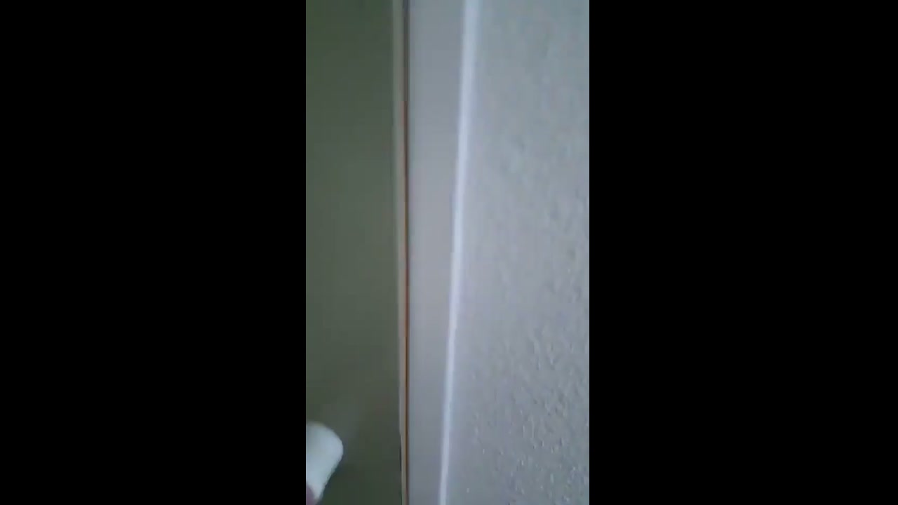 German toilet slut Anna Exposed 16